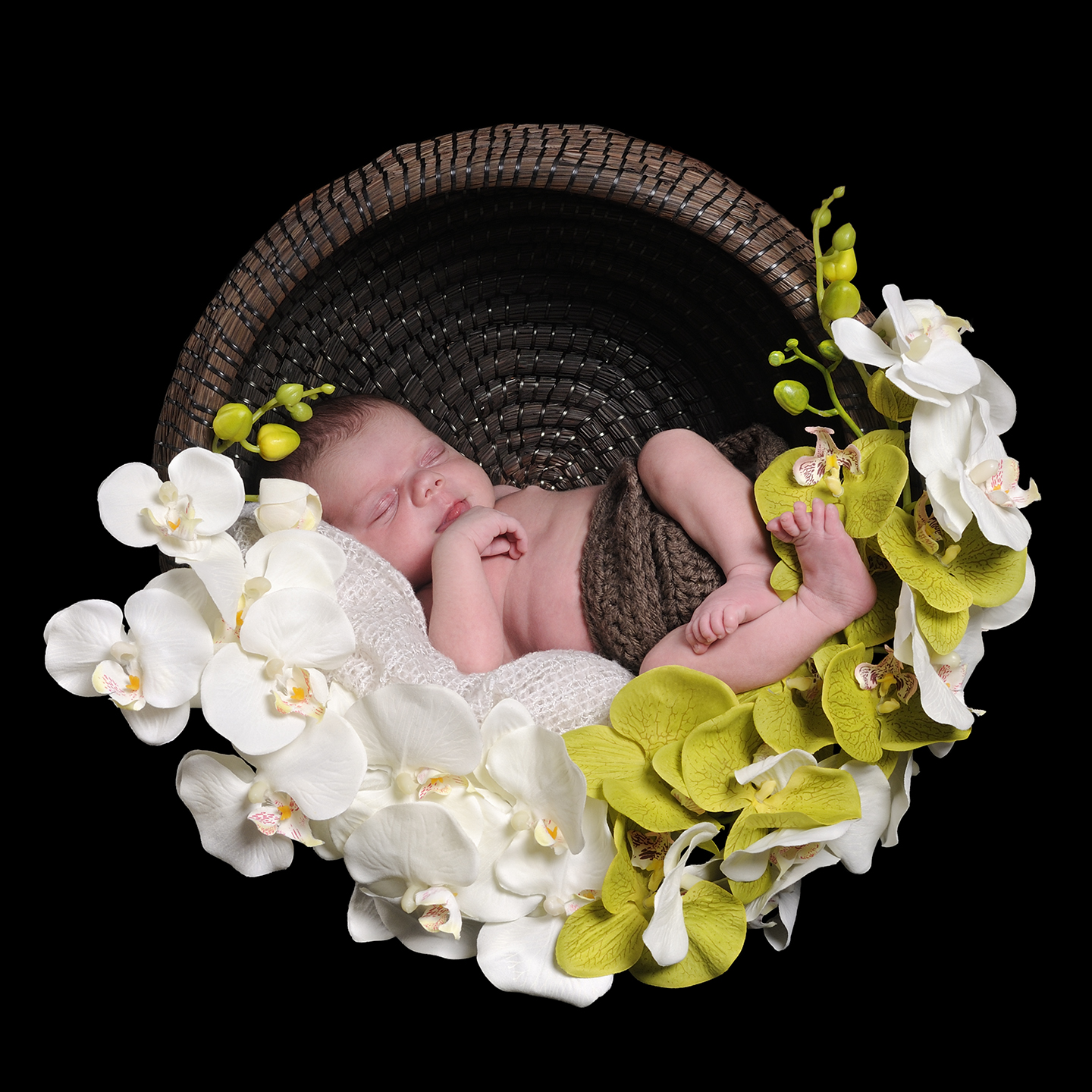 This image for Image Layouts addon
